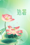 处暑荷花海报