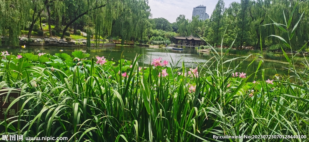 公园风景 