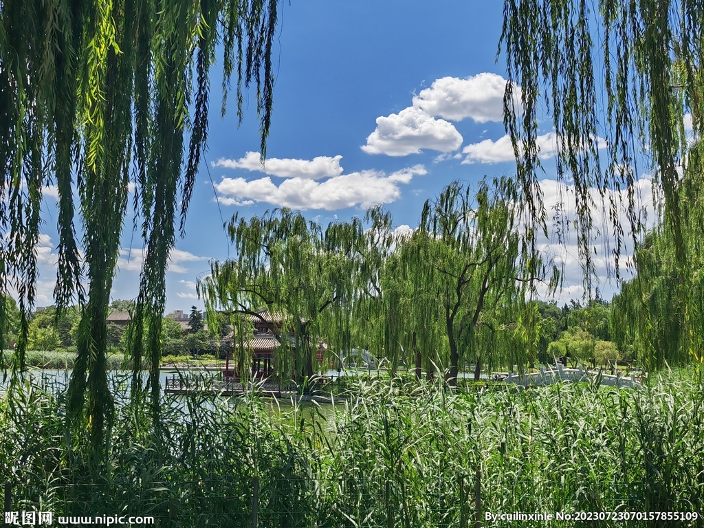 公园风景  