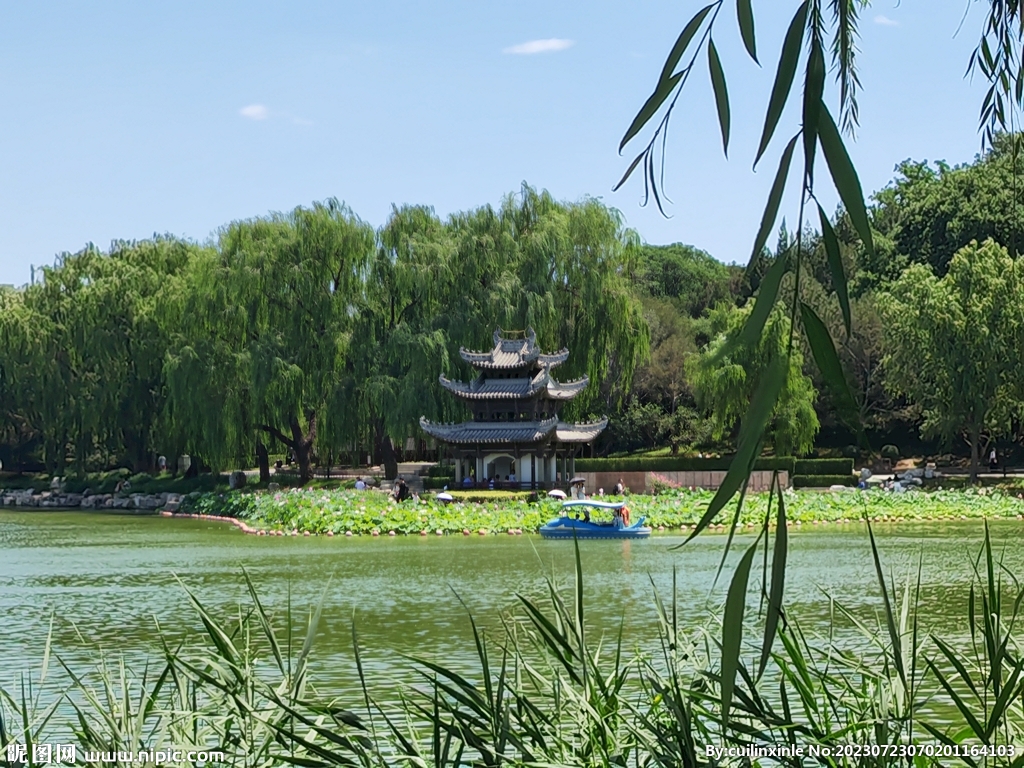 公园风景