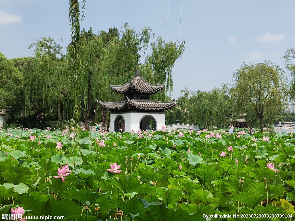 公园风景 