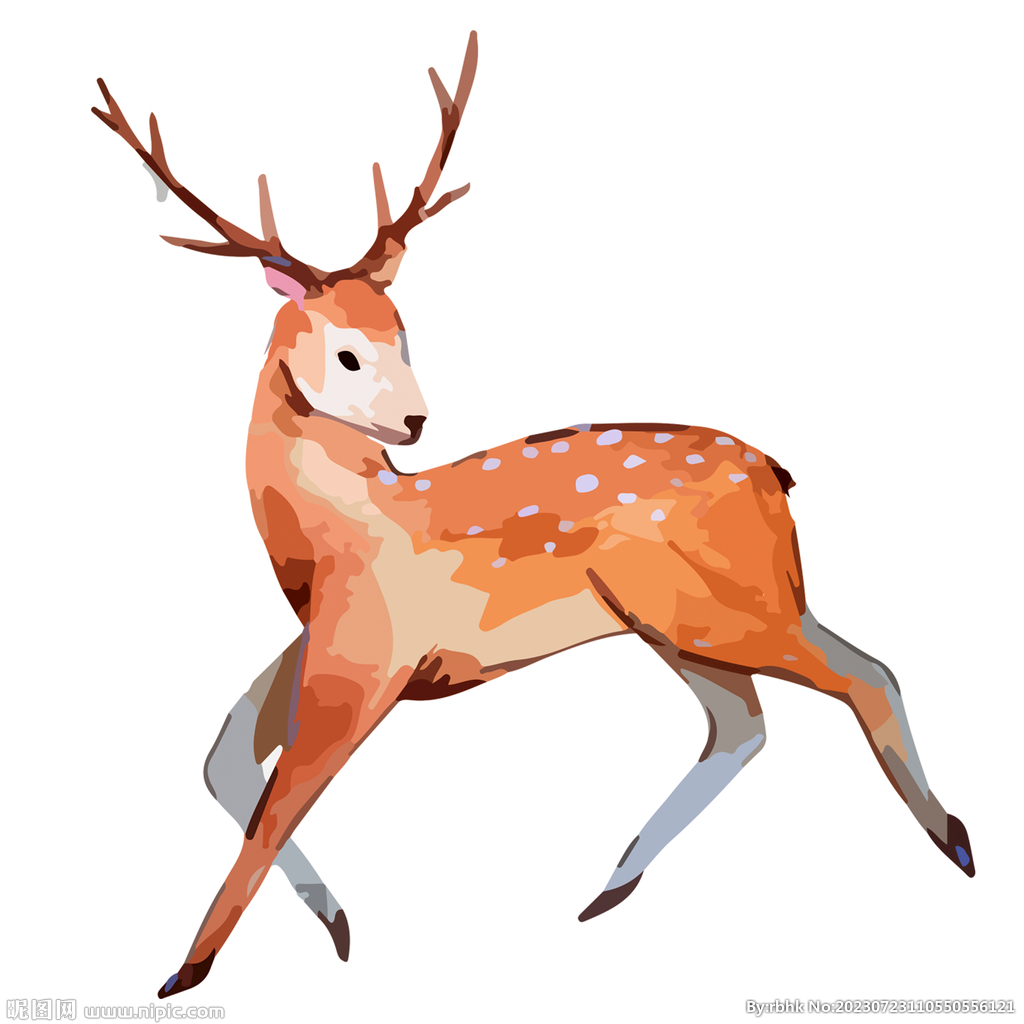 手绘插画梅花鹿