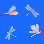 蜻蜓