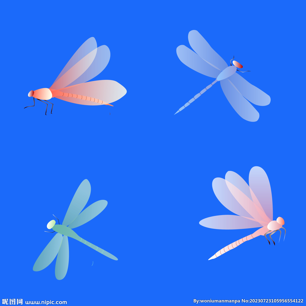 蜻蜓