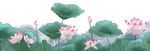 中国画荷花 