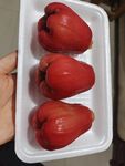 莲雾