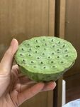 莲蓬