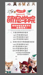 宠物展架 萌宠 狗