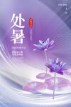 处暑海报