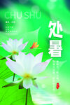 处暑海报