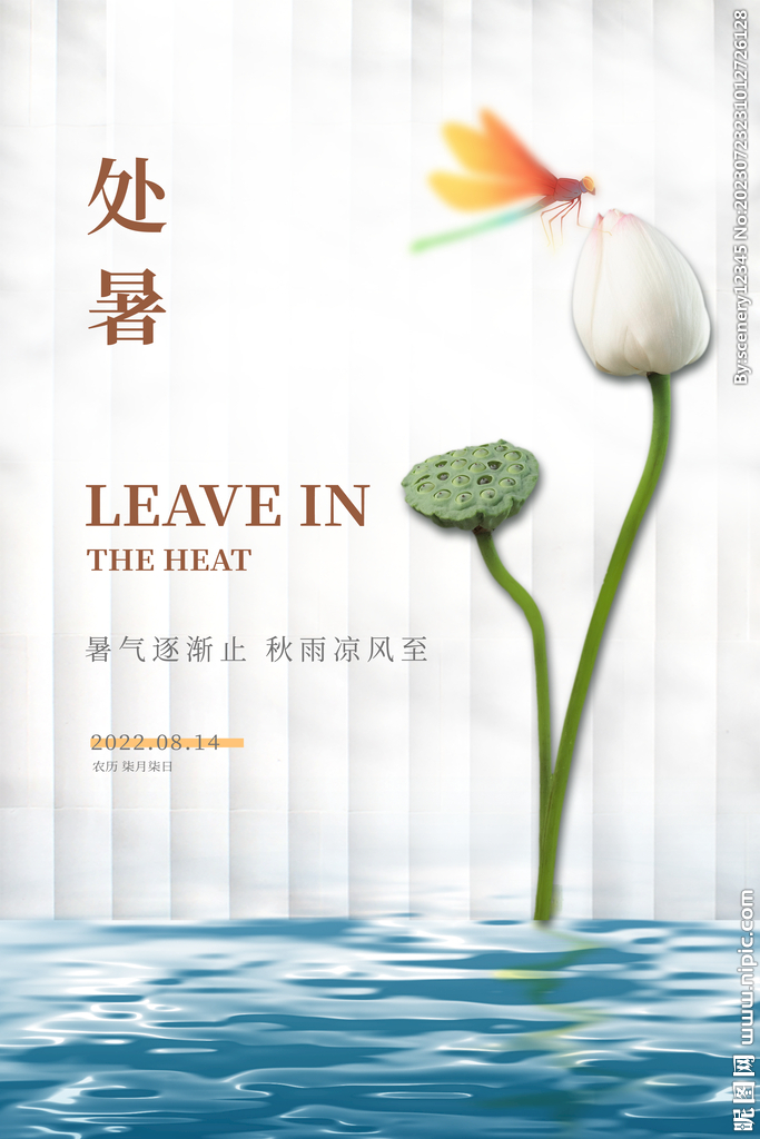 处暑海报