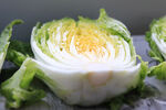 白菜