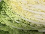 白菜