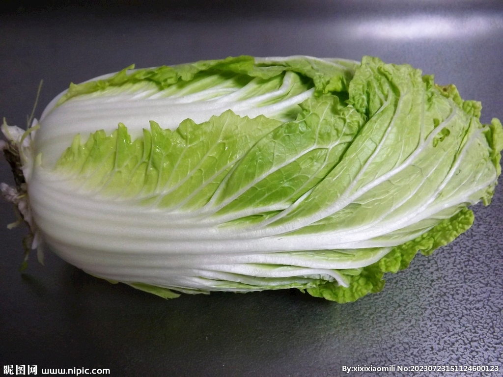 白菜