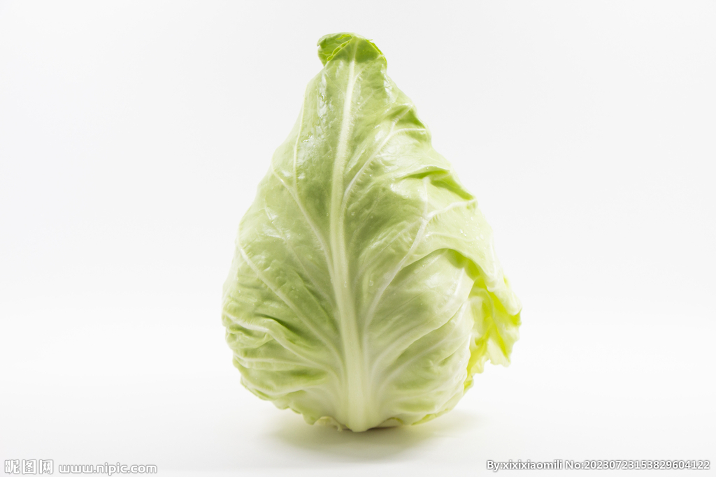 白菜