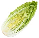 白菜