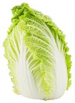 白菜