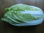 白菜