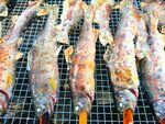 烤鱼美食