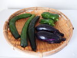 茄子