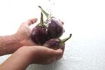 茄子