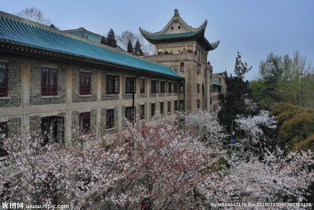 武汉大学樱花大道