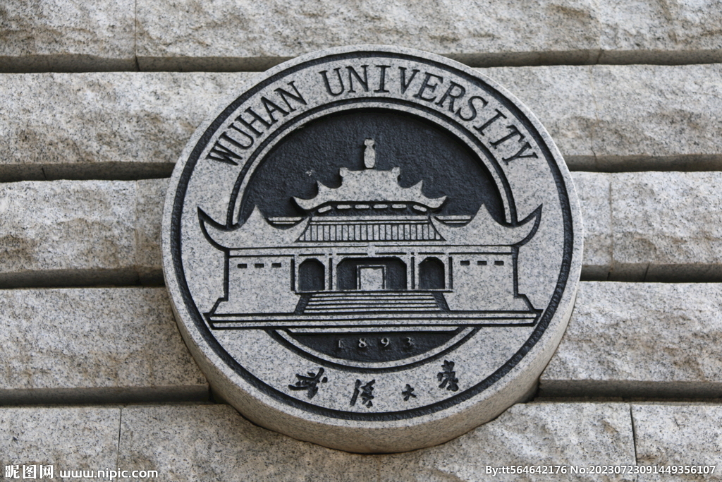 武汉大学