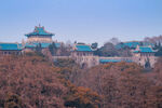 武汉大学建筑群