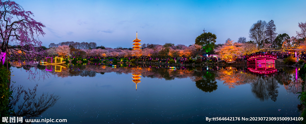 武汉东湖樱花园