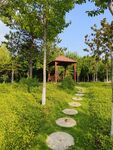 公园石磨小路