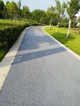 公园小路