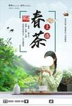春茶
