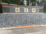 龙王井