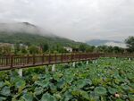 公园