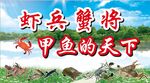 大闸蟹  螃蟹 展板