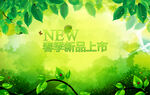 绿色 树叶 