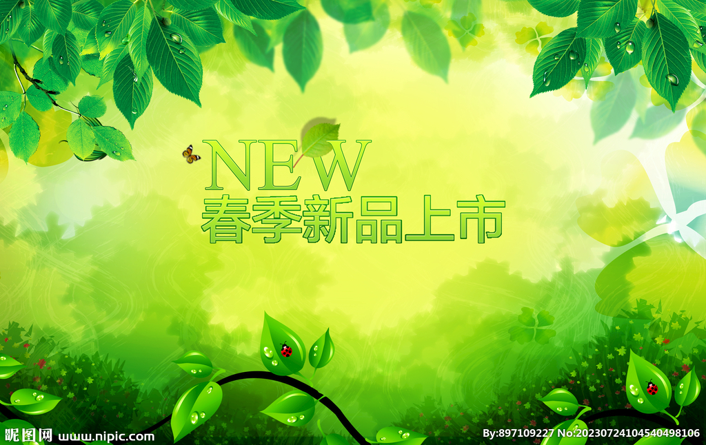 绿色 树叶 