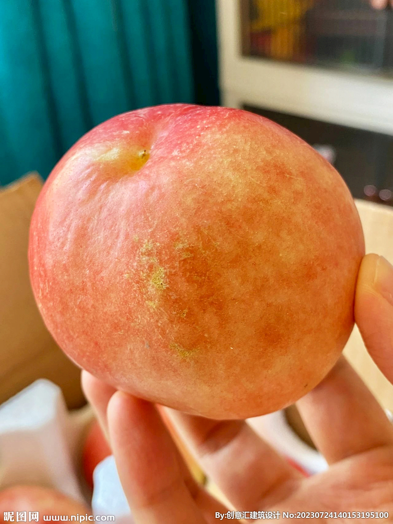 油桃