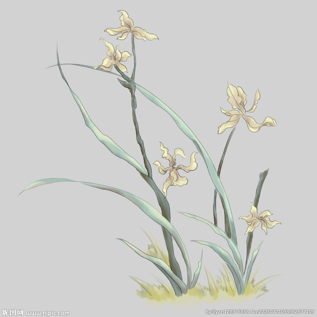 手绘简约兰花