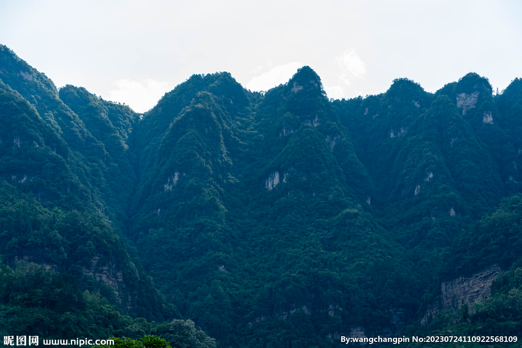 青山