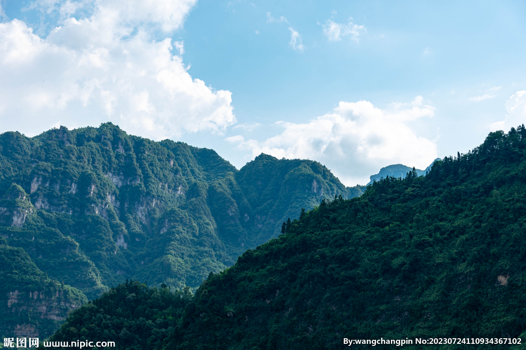 青山