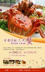 大闸蟹海报