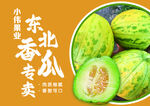 东北香瓜