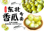 东北香瓜