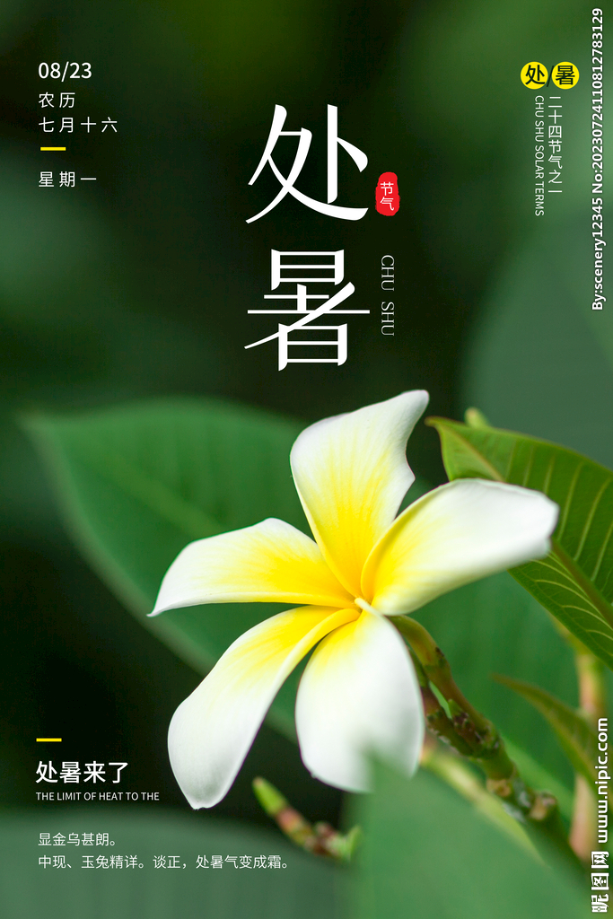处暑海报