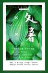 处暑海报