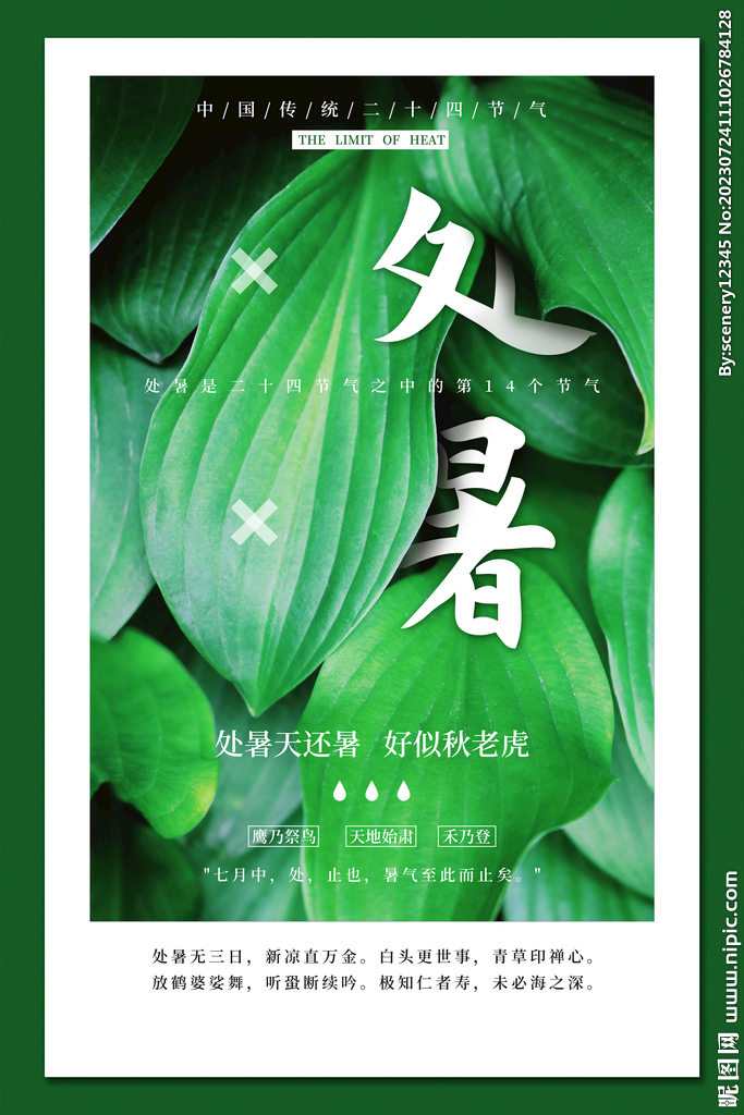 处暑海报