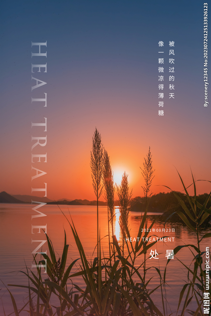 处暑海报