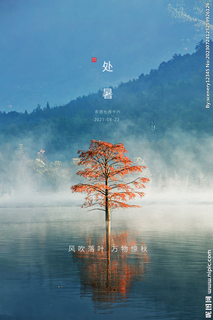处暑海报