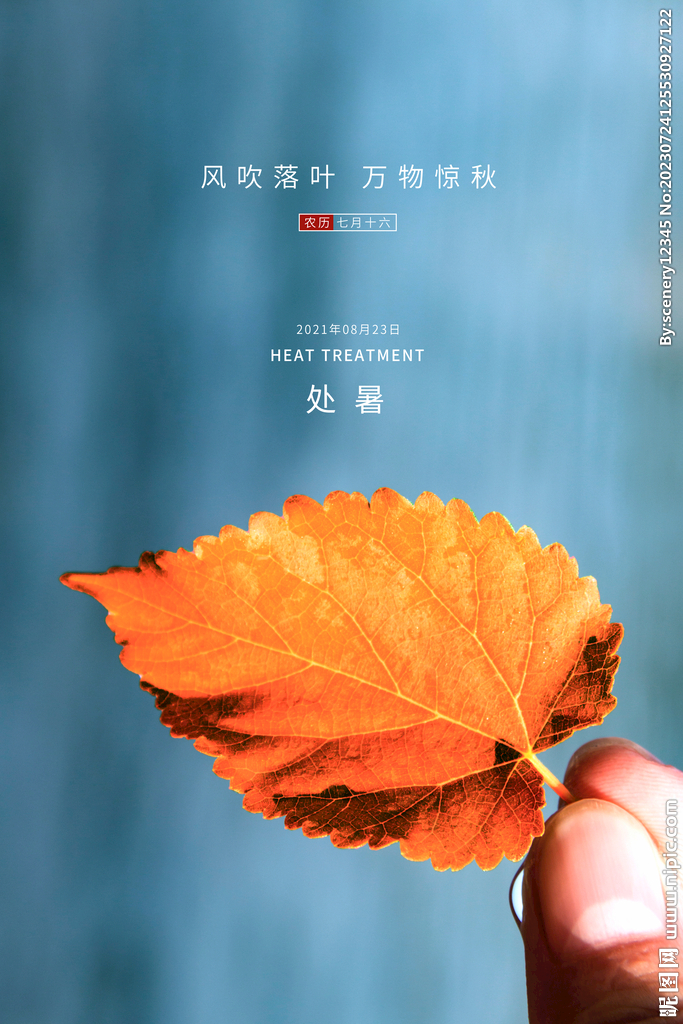 处暑海报
